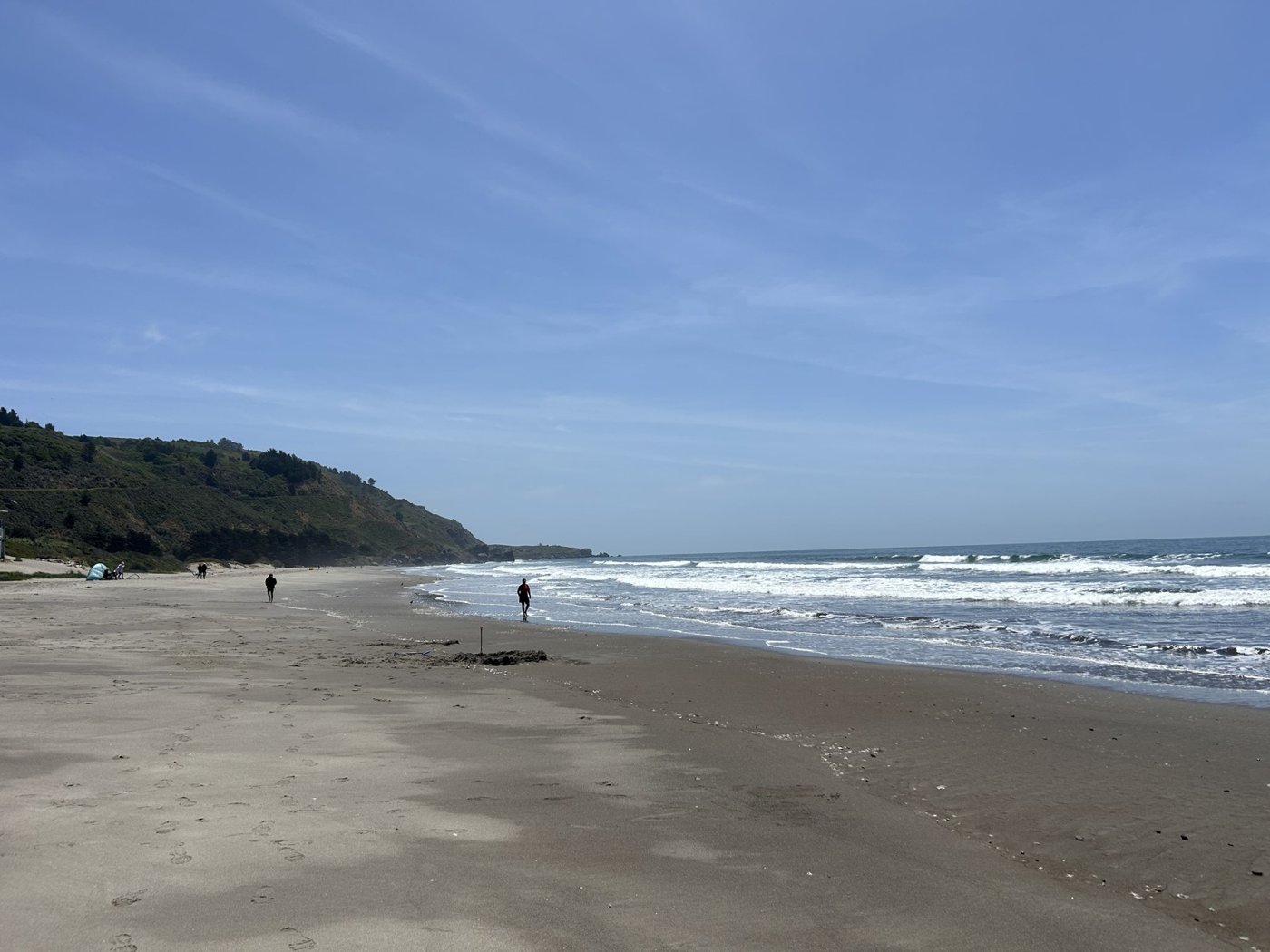 Marin Coast