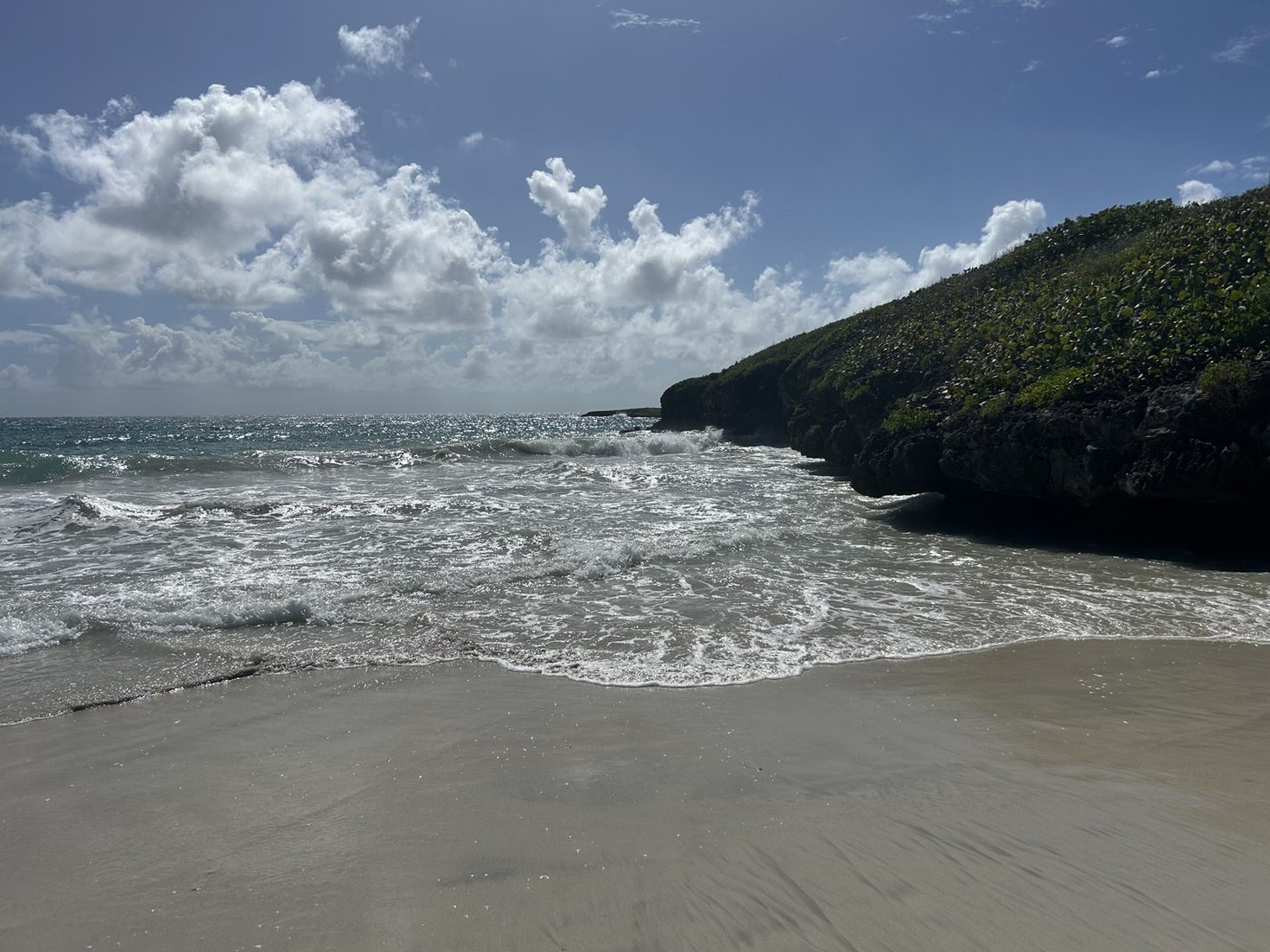 Vieques