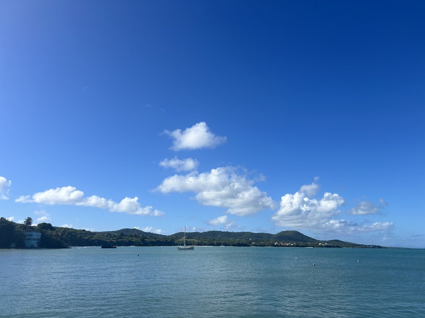 Vieques