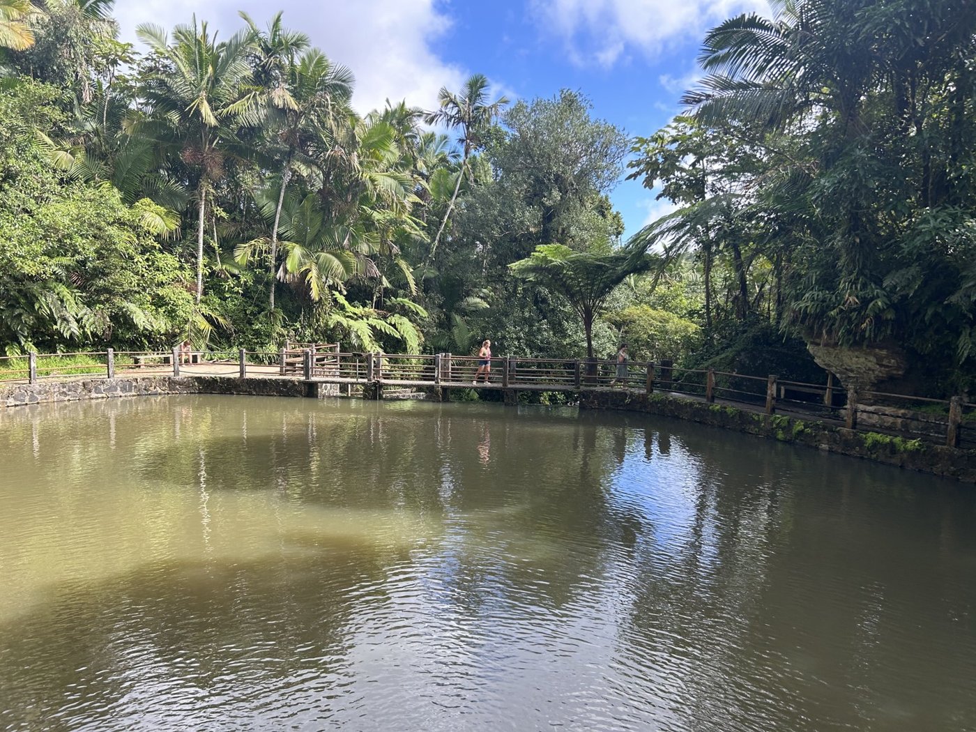 El Yunque National Forest