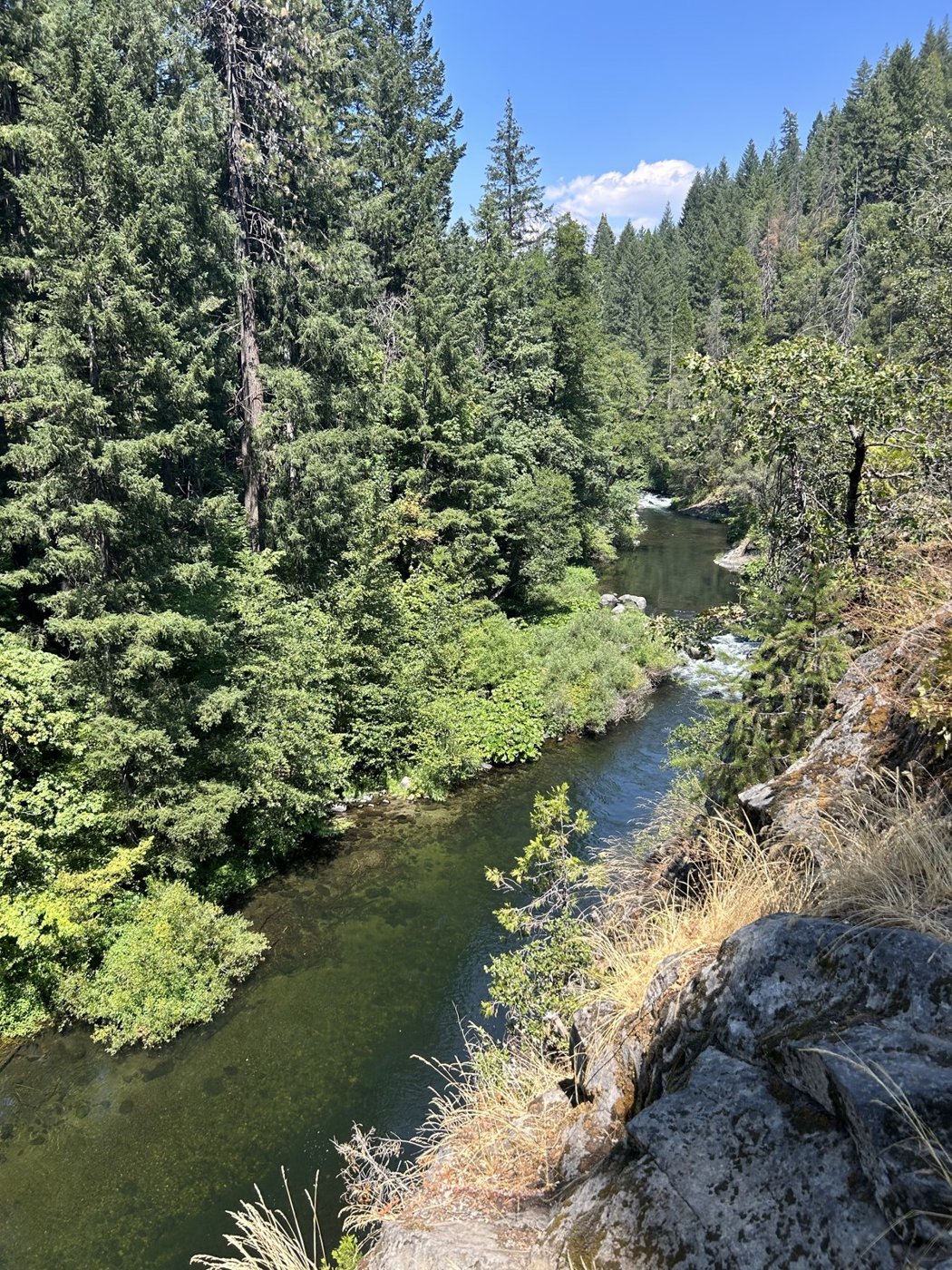Dunsmuir