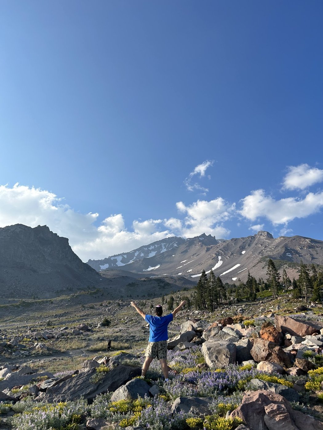 Mount Shasta