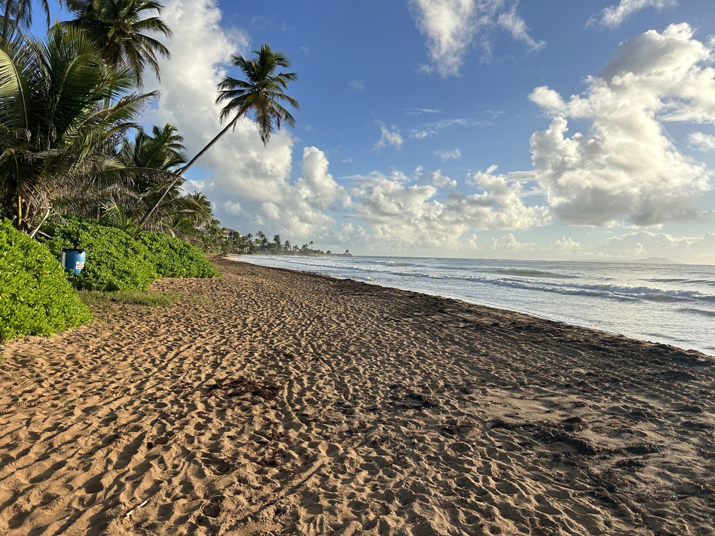 Fajardo