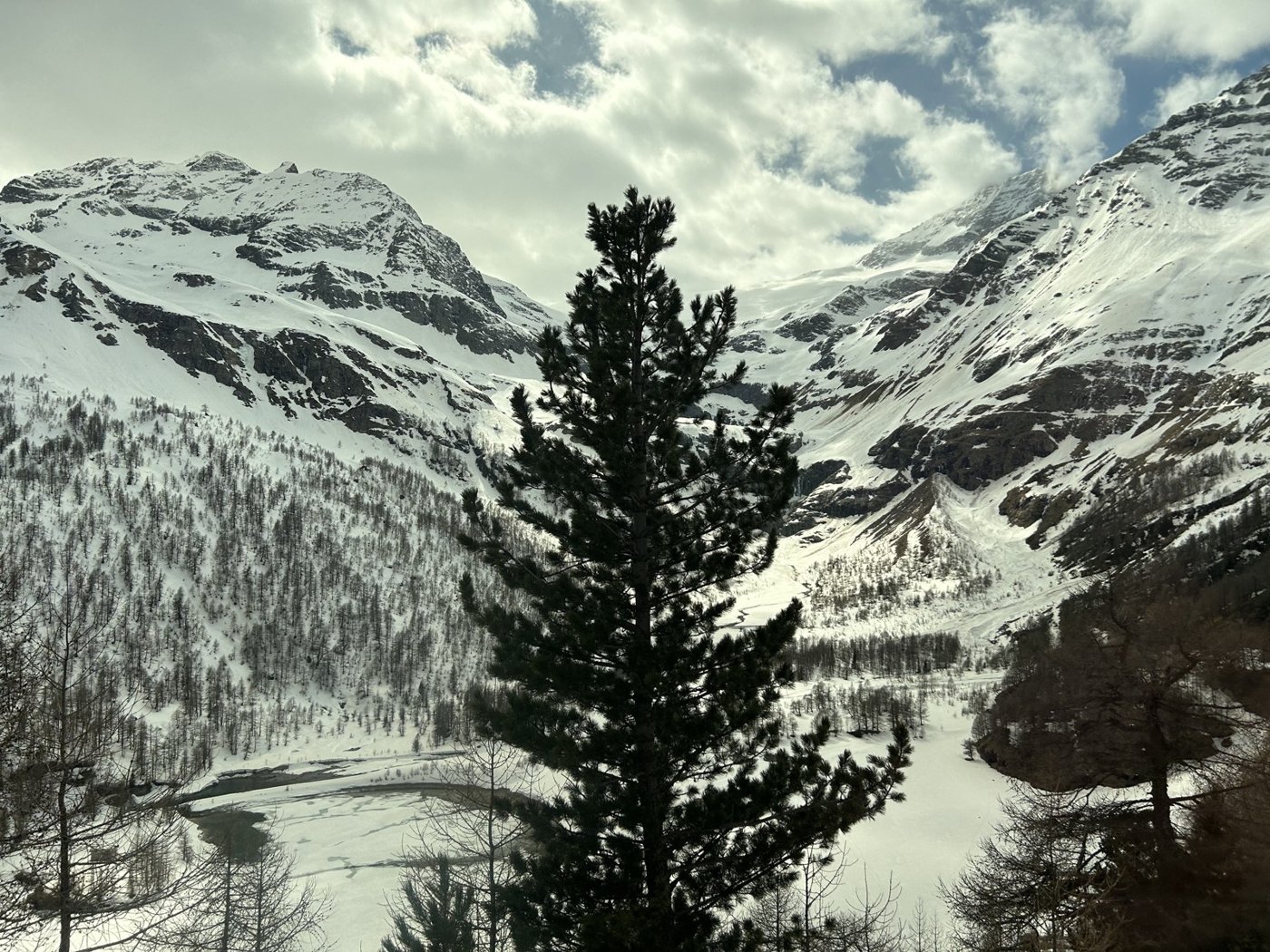 Bernese Alps